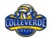 ColleverdeVolley