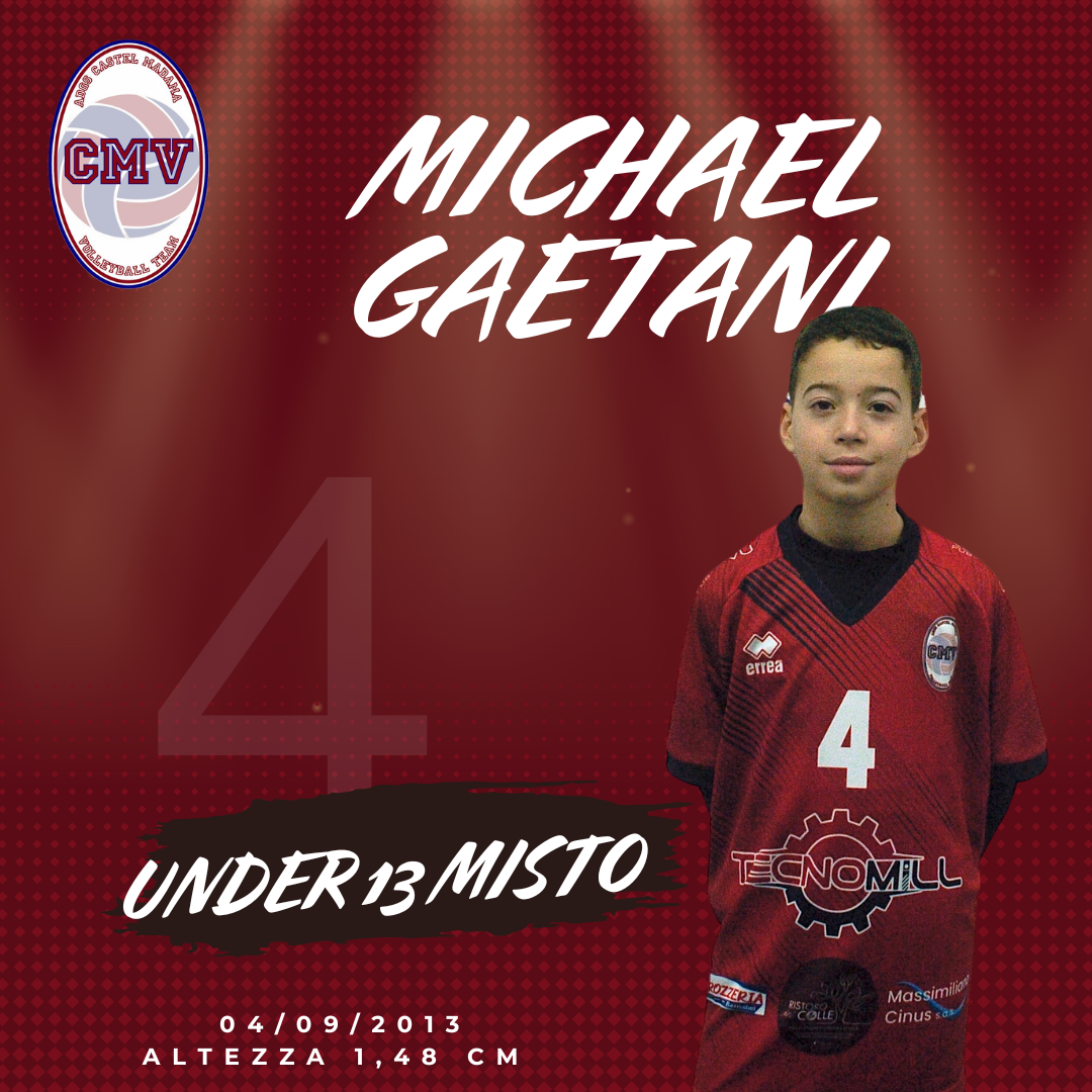 Michael Gaetani 2024-2025